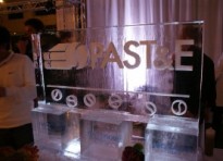PAST&E Ice Sculpture PAST&E Ice Sculpture